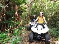 ガジュマルンチャー糸満店