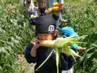 阿波ノ北方農園