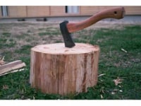 キンナゴアジロ