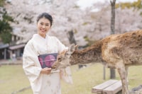 奈々屋の着物(奈良公園店)