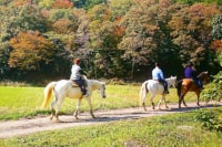 ウエスタン乗馬 マリンズステーブル