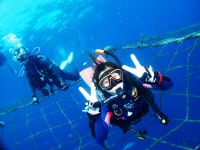 ダイビングスクール&プロショップ ミッドサマー