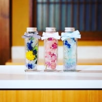 ヌックグリーン