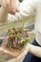 森の京都DMO福知山