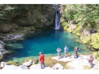 仁淀ブルー観光協議会