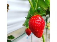 雨田光平記念館