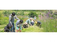 ハーブの里 みどり農園