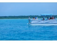 ヨーキーズ クルーズ