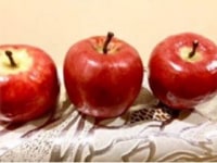 株式会社アルクグッド・プランニング