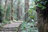 熊野古道探訪プロジェクト