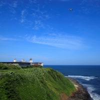 心のリゾート 海の別邸ふる川