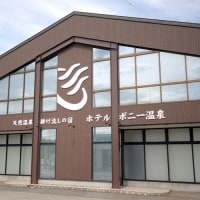 天然温泉掛け流しの宿 ホテルポニー温泉