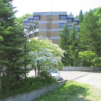 盛岡つなぎ温泉 湯治の宿 ホテル三春