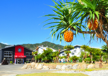 奄美大島開運酒造