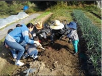 ゼロファーム農園