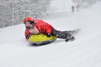 VIVAアルパカ牧場