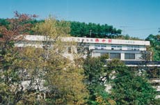 渓流の宿 青木荘