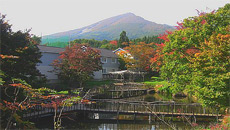 メープルホスト