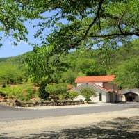 forest バン 源田