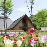 小豆温泉 花木の宿