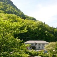 二岐温泉 やすらぎの宿 桂祗荘