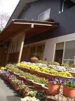 癒しの湯 高蔵内源泉