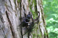 エム・ファクトリーふらの