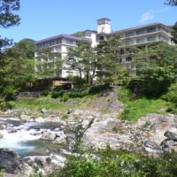 鬼怒川温泉 花の宿 松や