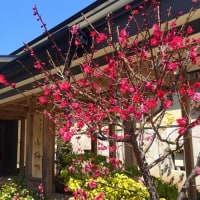 塩原温泉 おやど 小梅や