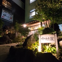 草津温泉 中村屋旅館<群馬県>