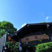 水上温泉 蛍雪の宿 尚文