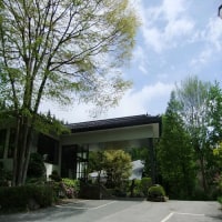 猿ヶ京温泉 旅籠しんでん