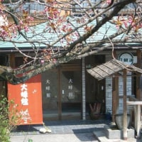 上牧温泉 月がほほえむ宿 大峰館