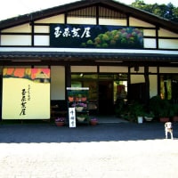 高原の宿 水芭蕉