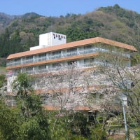 八塩温泉 八塩館