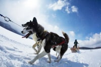 アウトライダー