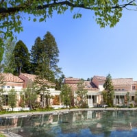 小谷流の里 ドギーズアイランド