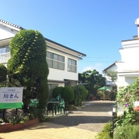 お仲間のやど 川きん