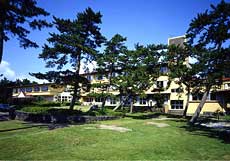 ローズマリー しおさい