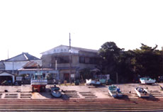 年間民宿 小松園