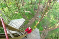 フォレストアドベンチャー・箱根