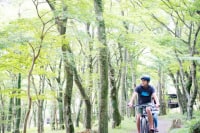 Hakone Mountain Ripper