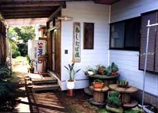 あしたば荘 <八丈島>の写真1