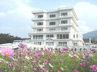 フィッシングハウス伊藤の写真1