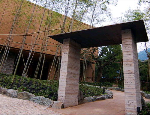 金乃竹 塔ノ澤の写真1