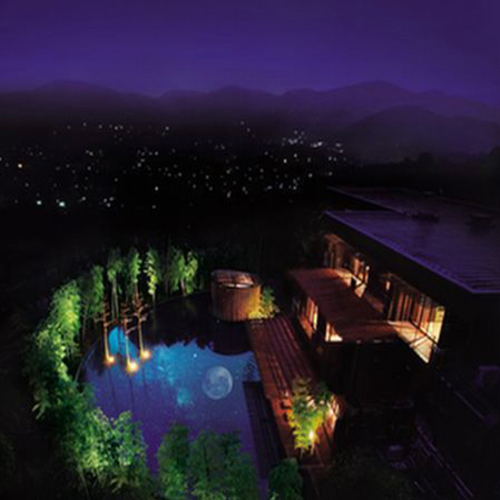 金乃竹 仙石原の写真1