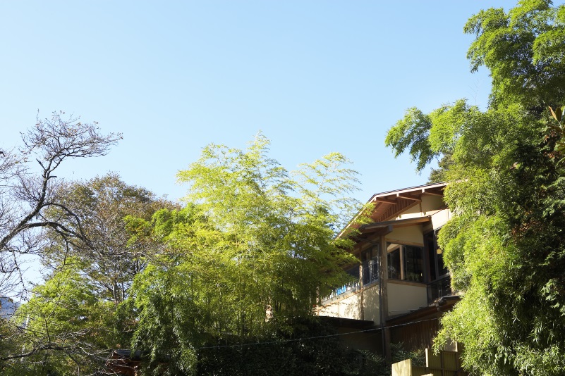 四季を味わう宿 山の茶屋の写真1