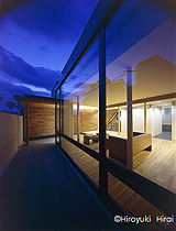 小坪海岸 凛花の写真1