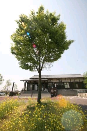 蔵の宿 菱風荘の写真1