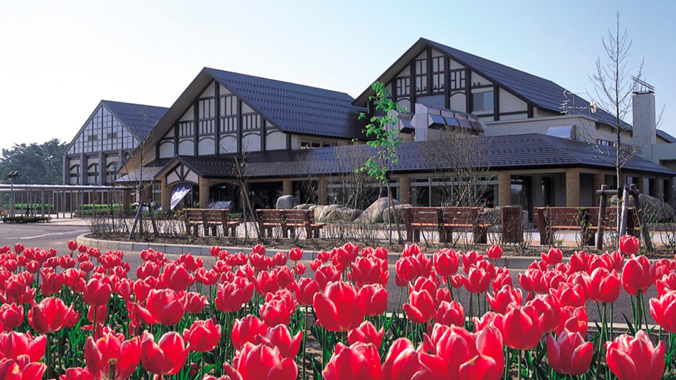 深層湯温泉 紫雲の郷の写真1